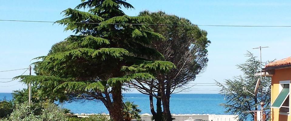 Apartments Lana Umag Oda fotoğraf